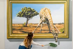 3D Fun Art Museum Porto