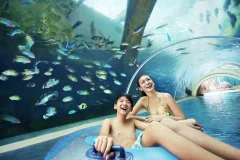 Adventure Cove Waterpark™