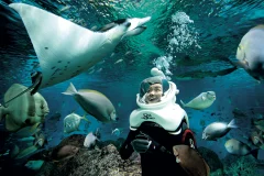 Adventure Cove Waterpark™