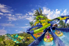 Adventure Island