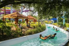Adventure Island