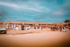 Al Ain Day Trips From Abu Dhabi