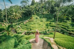 Alas Harum Bali