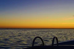 Algarve Boat Tours