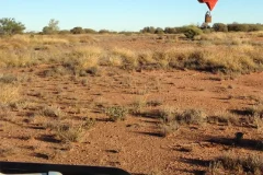 Alice Springs Hot Air Balloon