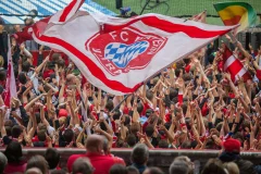 Allianz Arena