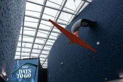 America's Cup Experience