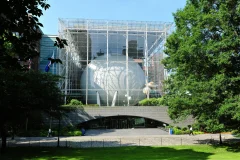 American Museum of Natural History (AMNH)