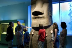 American Museum of Natural History (AMNH)