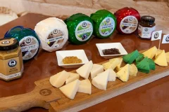 Amsterdam Cheese Tastings