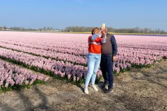 Amsterdam Tulip Field Tours