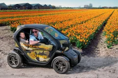 Amsterdam Tulip Field Tours