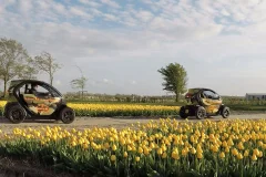 Amsterdam Tulip Field Tours