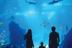 Antalya Aquarium