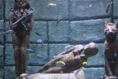 Antalya Aquarium