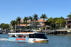 Aquaduck Safaris Sunshine Coast