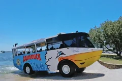 Aquaduck Safaris Sunshine Coast