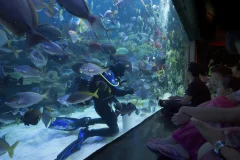 Aquaria KLCC