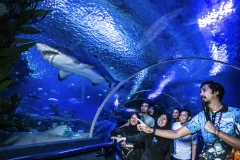 Aquaria KLCC