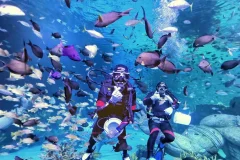 Aquaria Phuket
