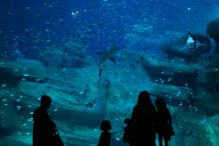 Aquarium de Paris