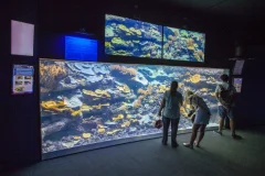Aquarium de Paris