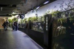 Aquarium de Paris