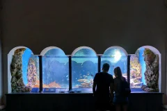 Aquarium of Naples