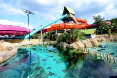 Aquatica San Antonio