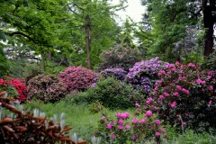 Arboretum de Chèvreloup