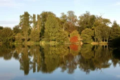 Arboretum de Chèvreloup