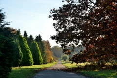 Arboretum de Chèvreloup