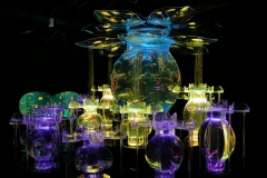 Art Aquarium Museum