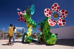 Art Gallery of New South Wales