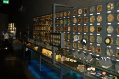 ARTIS Micropia