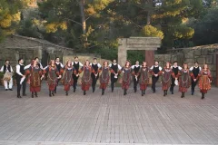 Athens: Greek Dance Shows