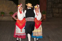 Athens: Greek Dance Shows