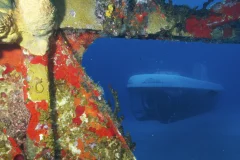 Atlantis Submarines
