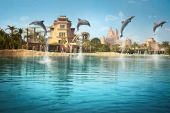 Atlas Village - Dolphin & Sea Lion Experiences