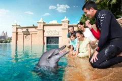 Atlas Village - Dolphin & Sea Lion Experiences