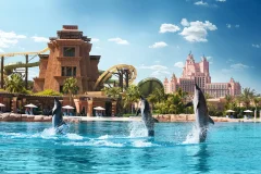 Atlas Village - Dolphin & Sea Lion Experiences