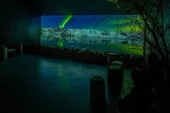 Aurora Reykjavik Northern Lights Center