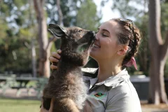Australian Reptile Park