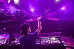 Avicii Experience