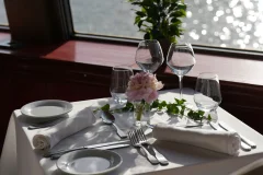 Avignon Cruises