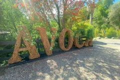 Avoca Handweavers