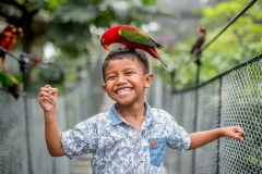 Bali Bird Park