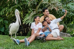 Bali Bird Park