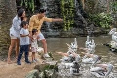 Bali Bird Park