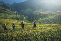 Bali Culinary Tours